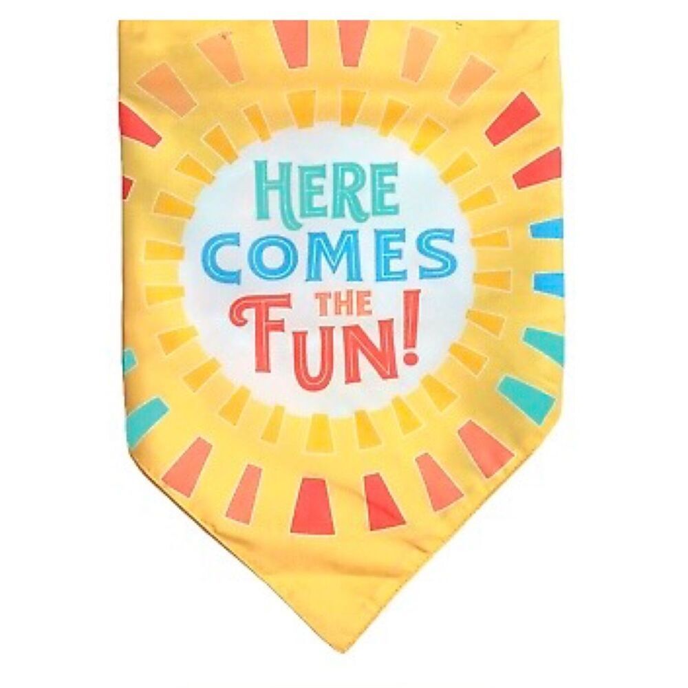 Sun Squad Reversible Pet Bandana HERE COMES THE FUN! Tie-Dye Printed. One Size
